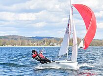 420er unter Spinnaker - Delfino Segelschule
