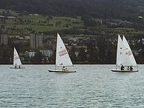 Laser segeln im Jugendkurs - Delfino Segelschule